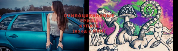 ПСИЛОЦИБИНОВЫЕ ГРИБЫ Арсеньев